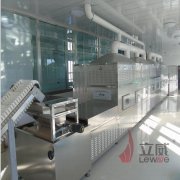 济南微波干燥设备生产厂家-山东立威微波
