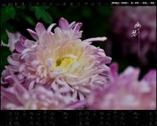 立威的设备与重阳节那些事……